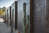 Modern home with Outdoor, Desert, and Metal Fences, Wall. Site fence with Mexican Fence Post cacti Photo 5 of Beadle Buddy