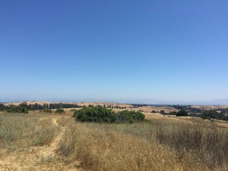 The beautiful Bay Area.