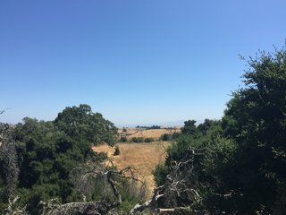 Off in the distance- the East Bay!