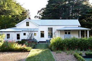 Natasha Morgan's garden incorporates multiple traditional annuals and perennials, but are presented in a graphic way.