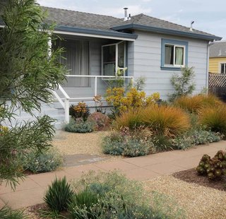 In this garden by Suzanne Arca, she uses decomposed granite and mediterranean plants to develop a contemporary palette.