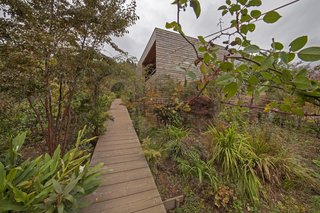 The Skyward House - Photo 4 of 5 -