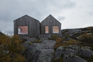 Vega Norge, Erik Kolman Janush