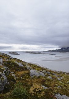 Vega Norge, Erik Kolman Janush 