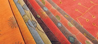 Flora Collection by Marcia Weese