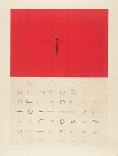 Hawk Alphabet by Marcia Weese