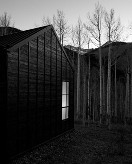 Black and white, shadow and light