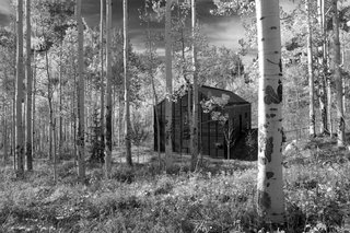 The views from the cabin are much more embedded in the grove, compared with the big mountain views from the main house.