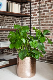 Brilliant copper naturally complements earthy tones, like brick and marble.