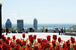 PSA: Montreal Is Just 6 Hours North of New York (And It's Pretty Great) - Photo 17 of 27 -