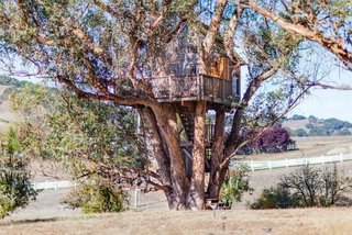 Breathe in the eucalyptus scent while you're lulled to sleep in this majestic nest. Another Bay Area tree house, this one is located in Petaluma, California, which is known for it's small town charm. It's located only a few miles north of San Francisco, while the Santa Cruz option is further south of the city. Enjoy a trip to the vineyards, and watch the sunset on this spacious deck.