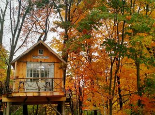 It's like tree climbing, but for adults! This Upstate New York tree house is a private little sanctuary best suited for anyone who wants to get some creative inspiration off the beaten path. We'd love to hide out here for a few weeks to transform it into a writer's retreat. 
