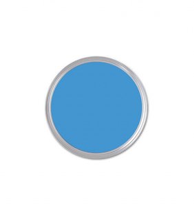 Behr Perfect Sky Flat Exterior Paint ($28)
