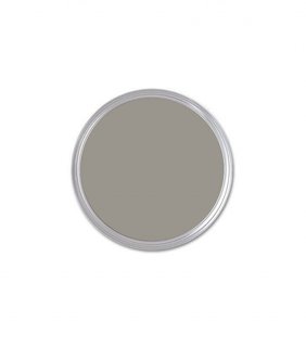 Benjamin Moore Galveston Gray Sample ($7)