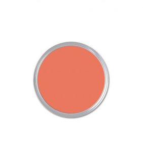 Benjamin Moore Fresno Sample ($7)