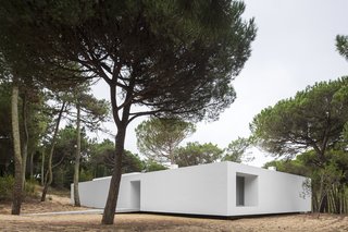 Vacation for Design Lovers - Photo 5 of 11 -