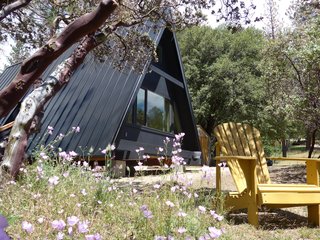 10 Houses That Tell Us Black is Back - Photo 3 of 9 -