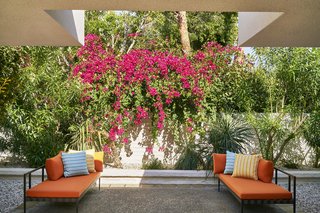 Lush, tropical landscapes designed by Judy Kameon blanket the exterior of the hotel.