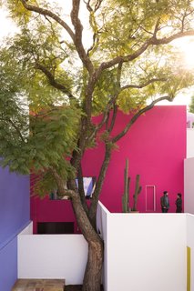 Barragán designed Casa Gilardi, in Mexico City, around this single jacaranda tree.