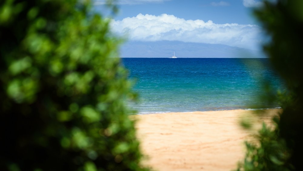Photo 10 of 12 in Makena Beach House, Maui by Hawaii Life Dwell