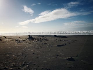Footsteps in the sand. Nehalem, OR.