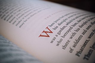 Subtle headings help set context without distracting from the broader narrative flow.