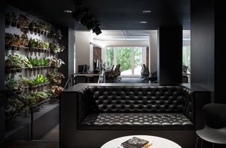 This dark lounge space with dramatic lighting is juxtaposed with a wall of carefully tended plants—hinting at the greenery that Portlanders are surrounded by year-round.
