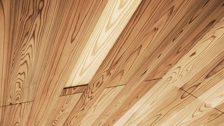 The intricacy of the roof paneling can be seen in this close-up detail of the ceiling.