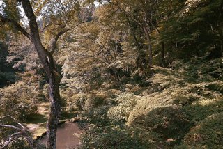 The community hub rests on the riverbanks of the Yoshino River.