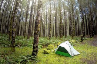 Make the Most Out of Summer With These 9 Spectacular Tents - Photo 5 of 9 -