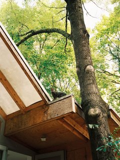 Interview: Stefan Diez - Photo 11 of 11 -