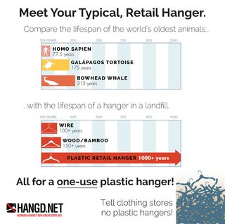 Hanging it Up | Going Green with Ditto Hangers - Photo 2 of 2 -