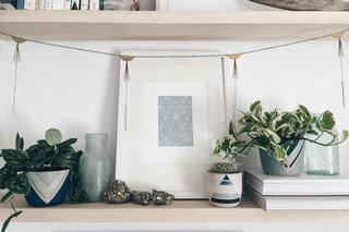Put a Plant on It | Clean Air, Easy Care: Pretty, Tough Houseplants that Purify - Photo 3 of 4 -