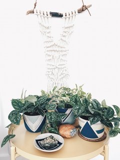 Put a Plant on It | Clean Air, Easy Care: Pretty, Tough Houseplants that Purify - Photo 2 of 4 -