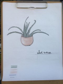Put A Plant On It | Aloe Edition - Photo 1 of 5 -