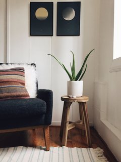 In addition to its medicinal properties, aloe vera is great for indoor air purification because it harvests carbon dioxide at night, actively improving your air quality while you sleep. However, it can also be toxic for household pets, causing vomiting, depression, diarrhea, anorexia, and tremors in both dogs and cats.