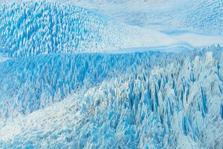 Wandering in the Moonlight |
A Conversation with Nature Photographer Brendan Pattengale - Photo 7 of 7 -