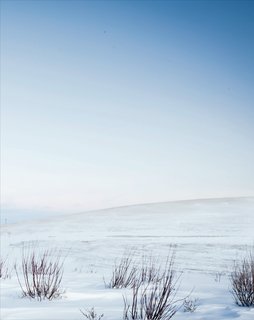 Pristine: A Photo Essay - Photo 2 of 9 -