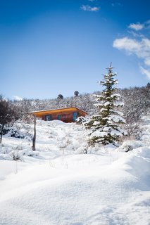 Pristine: A Photo Essay - Photo 5 of 9 -