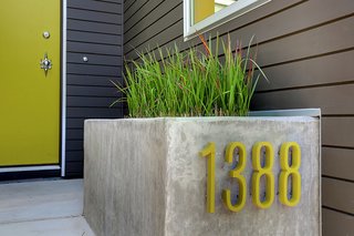 Curb Appeal - Photo 4 of 4 -