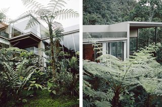 Within Ecuador's Most Beloved Cloud Forest, A Luxury Lodge - Photo 6 of 10 -