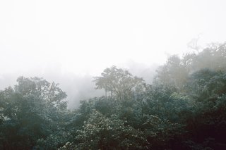 Within Ecuador's Most Beloved Cloud Forest, A Luxury Lodge - Photo 10 of 10 -