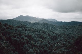 Within Ecuador's Most Beloved Cloud Forest, A Luxury Lodge - Photo 1 of 10 -