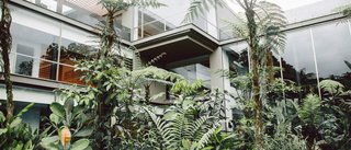 Within Ecuador's Most Beloved Cloud Forest, A Luxury Lodge - Photo 7 of 10 -