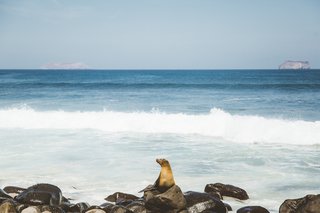Pikaia: A Galapagos Eco-Lodge - Photo 6 of 8 -