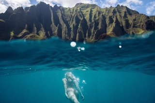 The Palmwood in Kauai - Photo 9 of 9 -