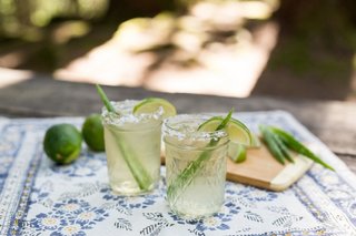 How to Make Aloe Vera Margaritas - Photo 5 of 5 -