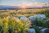 The boulder-strewn landscape captures unending valley and mountain views. Photo 5 of Desert Palisades Chino Canyon modern home