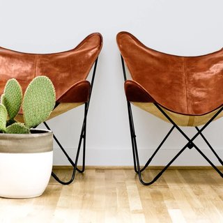 Simple butterfly chairs paired with a cactus. 