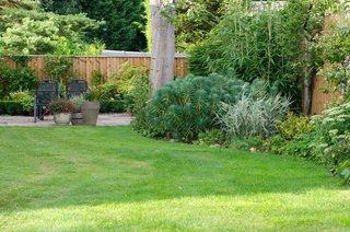 Garden Design Tips for 2017! - Photo 1 of 1 -